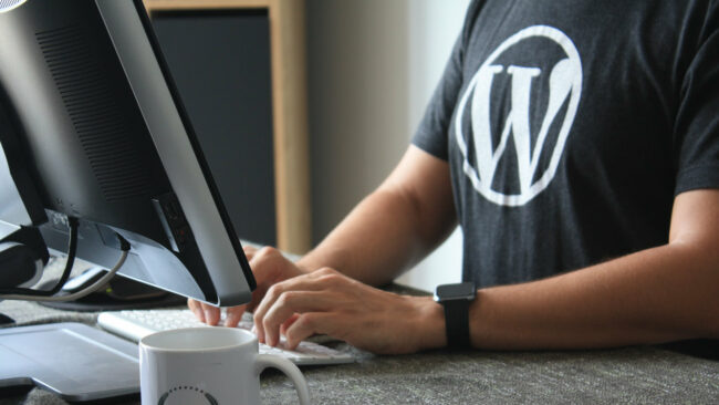 Anteil von WordPress an Websites weltweit